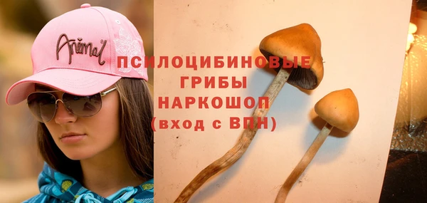 прущие крисы Алексин