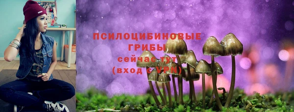 прущие крисы Алексин