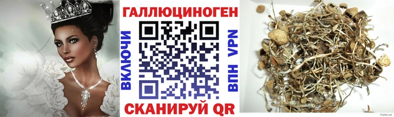 ОМГ ОМГ ссылка Кимры Галлюциногенные грибы GOLDEN TEACHER